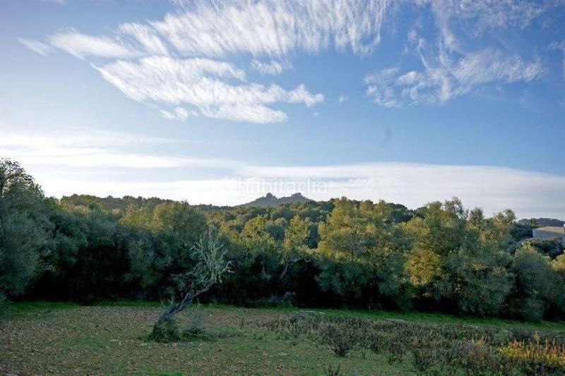 Foto 22e94de2-91ae-4237-a419-f84c234cb106. Terrain résidentiel dans Felanitx poble Felanitx