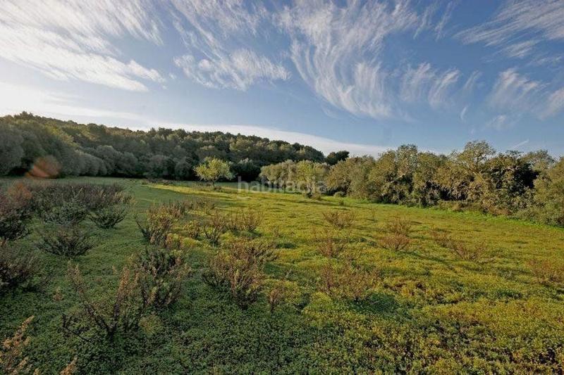 Foto a6e76a35-ccb5-49ca-a97b-80e981f9365a. Terrain résidentiel dans Felanitx poble Felanitx