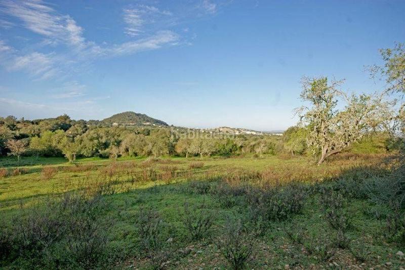 Foto da51ede0-25cc-406b-8b8f-1f33caa38a1f. Terrain résidentiel dans Felanitx poble Felanitx
