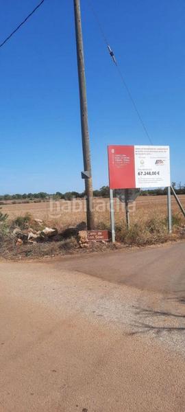 Foto 41c57754-0667-4813-9c03-434909fe7076. Terreny residencial a Manacor centre Manacor