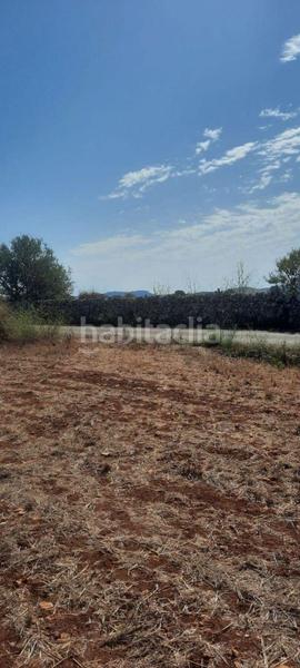 Foto 7ab14296-060f-4f0c-96b0-a9cd75519f1d. Terreny residencial a Manacor centre Manacor