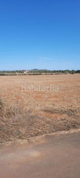 Foto c00fee84-0392-40ef-b8d8-d3a2b9cd878a. Terreny residencial a Manacor centre Manacor