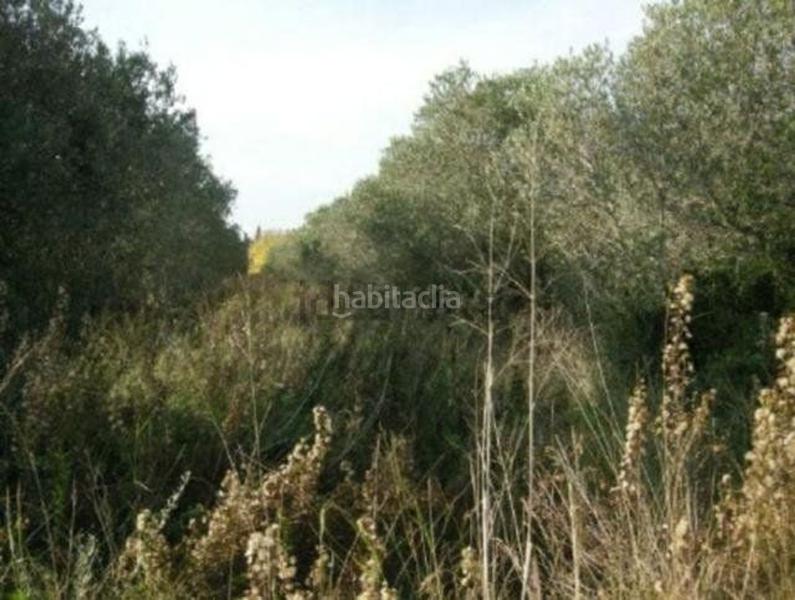 Foto 0dc35b1a-2d1f-4d75-8ef5-e8c189a5993b. Wohngrundstück in Urbanitzacions de Llevant Tarragona