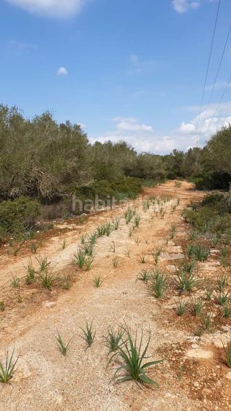 Foto 16940980-4b30-4e68-abe7-e41e92f0a022. Wohngrundstück in Llucmajor interior Llucmajor