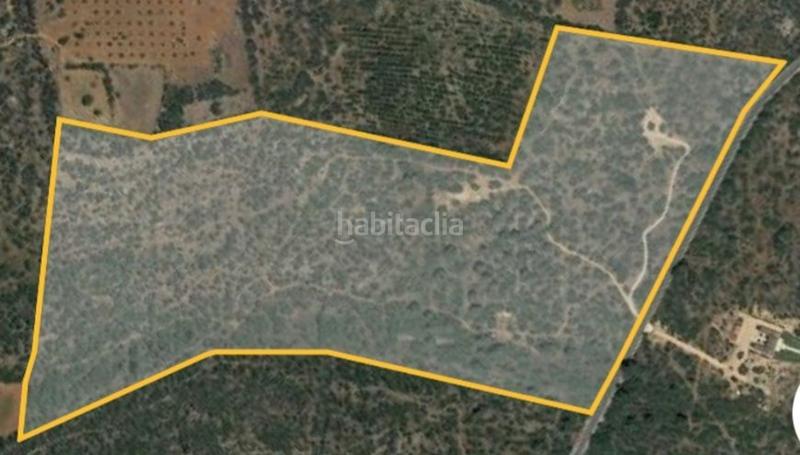 Foto fbfb8b44-8802-49ca-a18c-4182e0eef61e. Wohngrundstück in Llucmajor interior Llucmajor