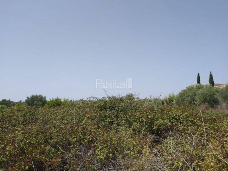 Foto cf60e8b9-6c0d-44b7-89c5-186732705f5b. Terreno residencial en Centro Comercial - Capsades - Hospital Vinaròs