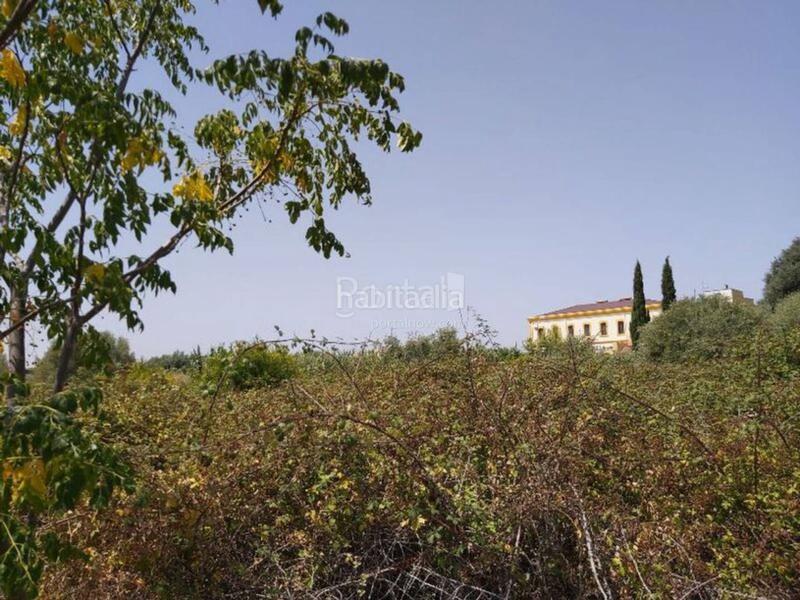 Foto e922daba-bd24-4af9-9995-30b7f1c02e44. Terreno residencial en Centro Comercial - Capsades - Hospital Vinaròs