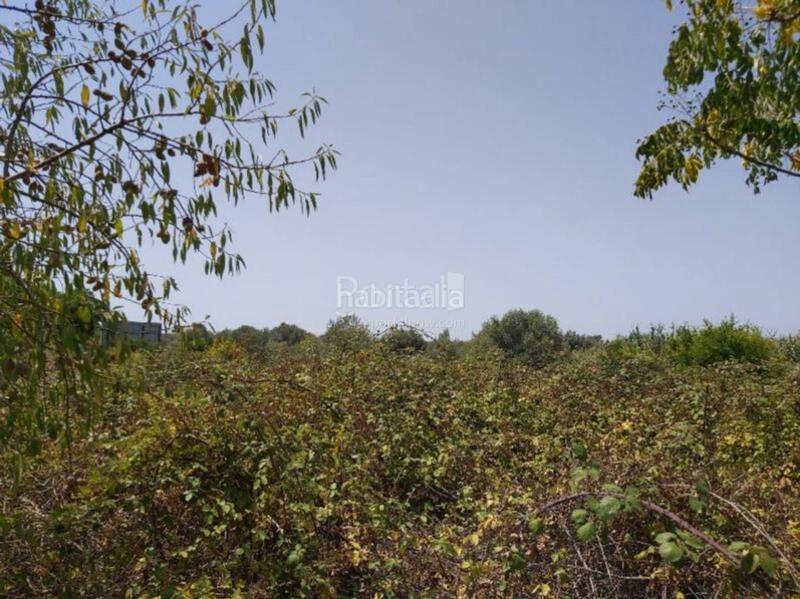 Foto ae77498a-d39e-4c88-978a-2310976792eb. Terrain résidentiel dans Centro Comercial - Capsades - Hospital Vinaròs