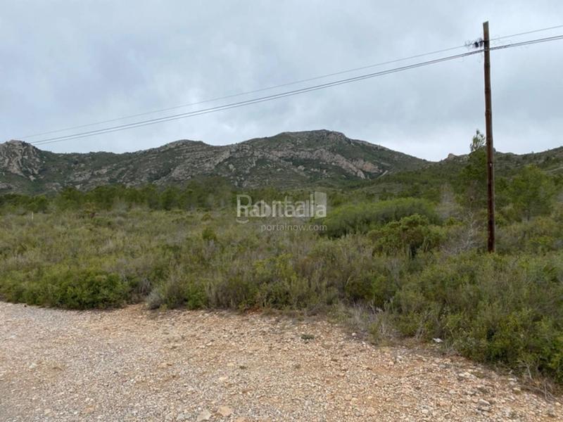 Foto 815be225-cb17-4d37-be34-ed556907ea70. Terreno residenziale in Pratdip