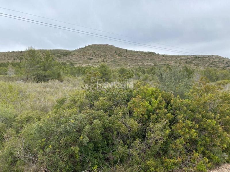 Foto ec652079-acb9-41f7-999d-9377f9acc226. Terreno residenziale in Pratdip