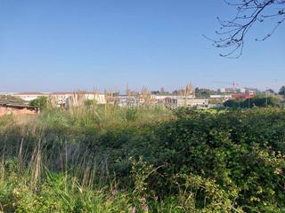 Residential Plot in Alisal - San Román
