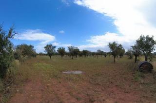 Wohngrundstück in Santanyí Poble