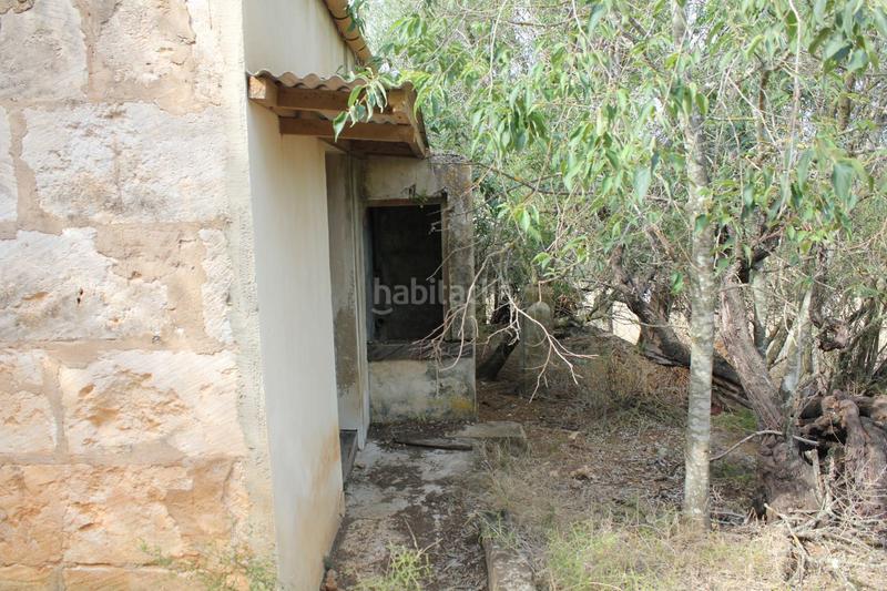 Foto ad04782d-1c86-4212-91ec-a48558a84209. Terrain résidentiel dans Campanet