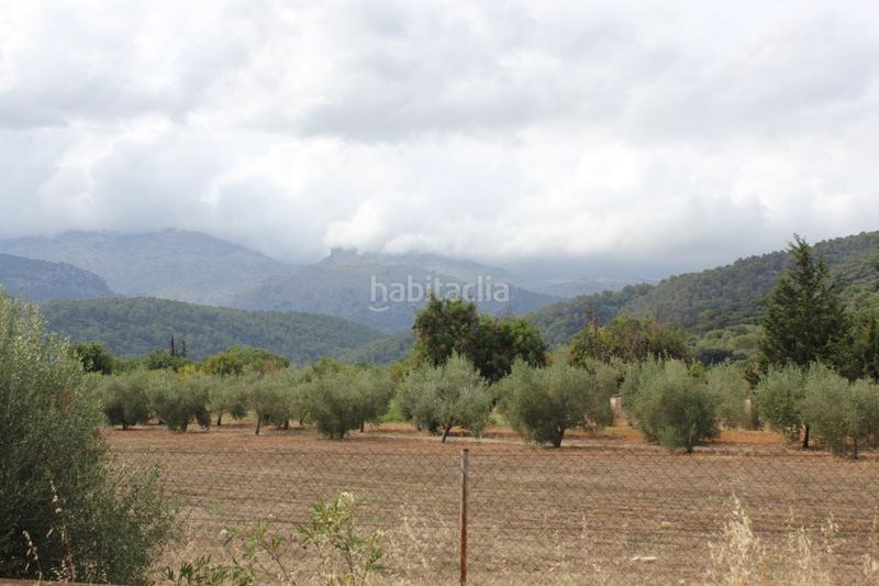 Foto d6f4a106-3973-4b17-850d-ff043553e44d. Terrain résidentiel dans Campanet