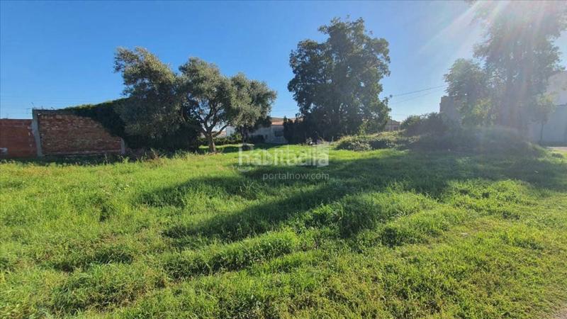 Foto 9e630e69-031a-4737-84ec-c5a363c866be. Wohngrundstück in Centro Burriana