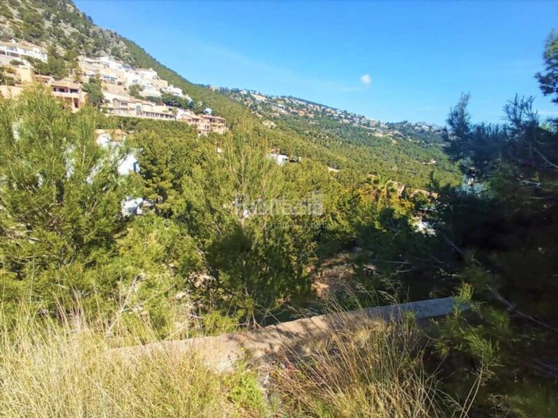 Foto 3267fe29-5859-46a1-bf06-77545bb3f438. Terreny residencial a port d´Andratx Andratx