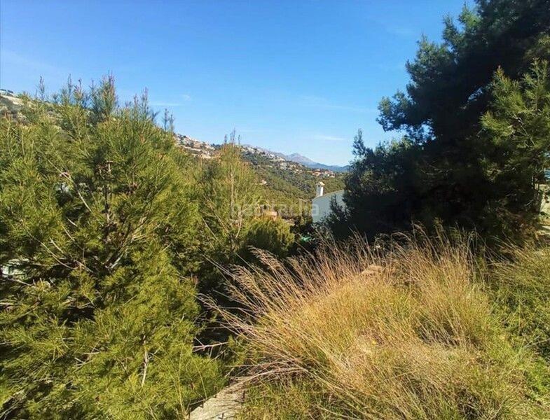 Foto 1f33d63b-01d5-4501-9239-69856c782095. Terrain résidentiel dans port d´Andratx Andratx