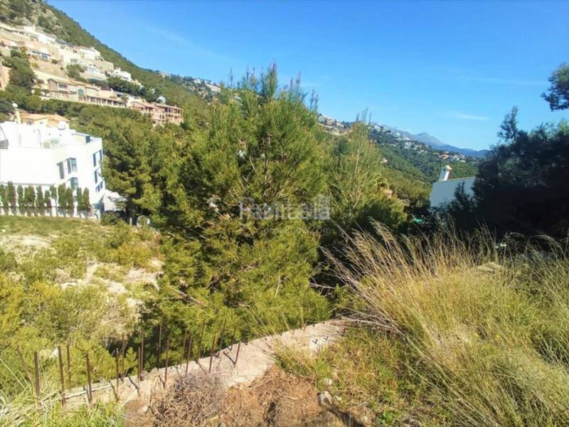 Foto cbffc207-62fb-421b-96d8-bdb16a796203. Terrain résidentiel dans port d´Andratx Andratx