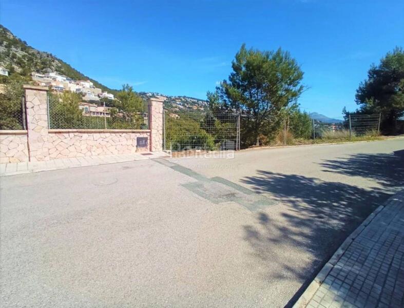 Foto 5dab700e-0aea-4357-ab32-22a7247a1922. Terreno residenziale in port d´Andratx Andratx