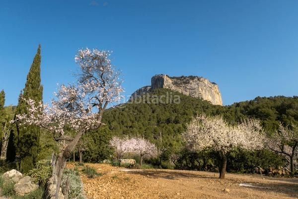 Foto 9e65d37d-cd46-4420-9b6e-f579a58a6620. Edifici a Alaró