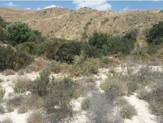 Residential Plot in Bonalba-Cotoveta