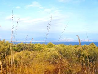 Residential Plot in Betlem