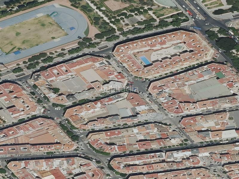 Foto 4fc323e5-7435-4ee4-b826-1bf234492572. Pis a La Petxina Valencia