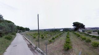 Terreny residencial a polig 7 Parcela 209 (el Medio de la H