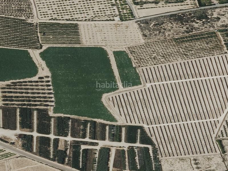 Foto e001e9ec-a3b2-495f-b65d-55b9c2717668. Pis a Alzabares Elche / Elx