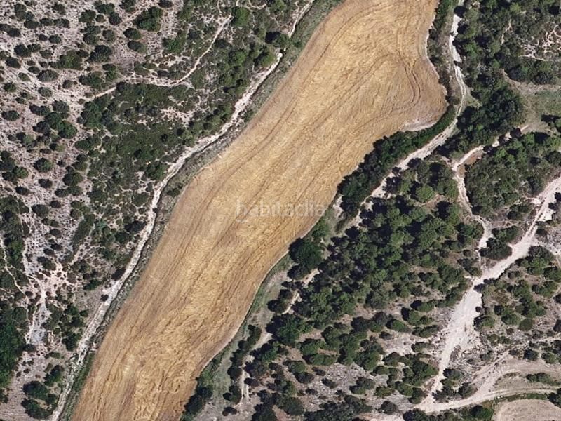 Foto ed8b562b-4fe2-4fa9-8ecc-1b39f6d39243. Local comercial a Puig-reig