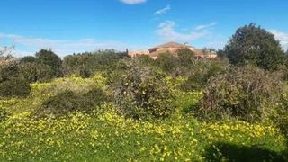 Terreny residencial  Avda estatut d'autonomia. Terreno urbanizable en venta en avda estatut dautonomia