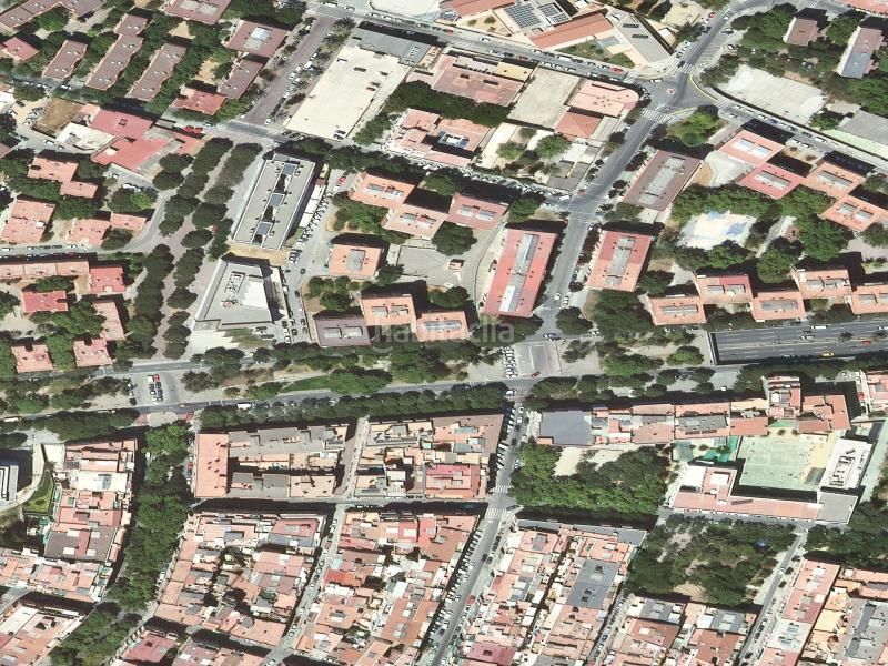Foto 3351a9a8-9a96-4cda-b0c5-90ff6bfa3494. Pis a Trinitat Nova Barcelona
