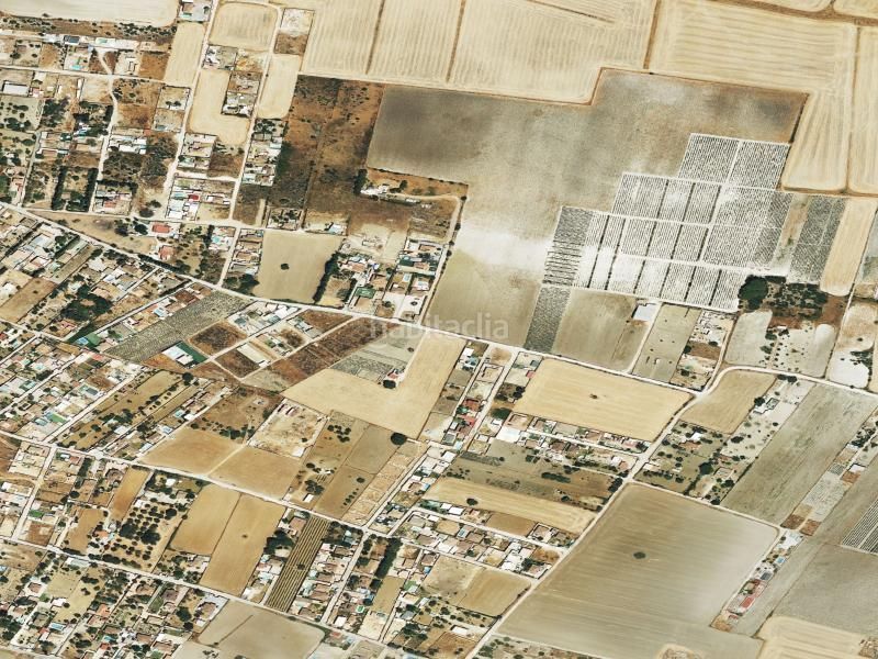 Foto 4d88758f-22ff-4deb-b0af-cfa398d643b5. Pis a Los Franceses - La Vega Chiclana de la Frontera