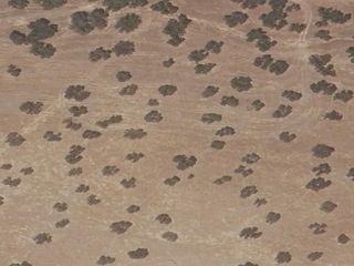 Wohngrundstück  Terreno en lugar paraje campo la parr, parra (la),. 2 inmuebles asociados al npl en parra la, badajoz