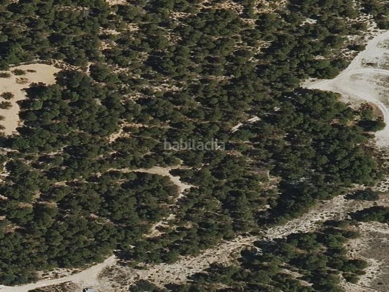 Foto 582603e8-6bf1-41b3-a9b3-5de612fe4fc7. Pis a Zona Nord Alcoi