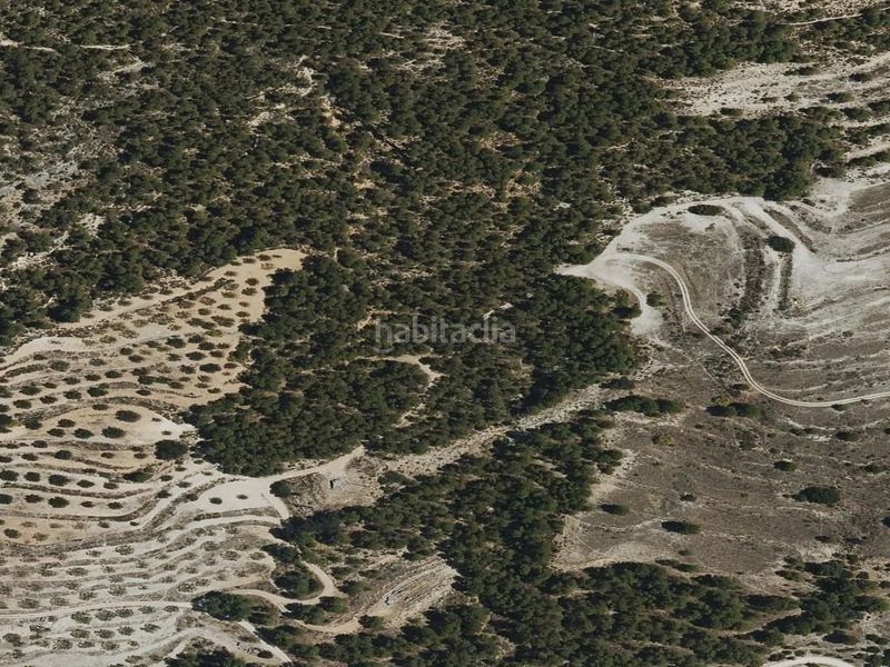 Foto f7f9e7eb-d30d-4a1a-89ef-306eea00f362. Pis a Zona Nord Alcoi