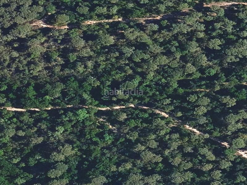 Foto f53d4363-e817-45af-a13c-971a84b0850c. Pis a Fogars de la Selva