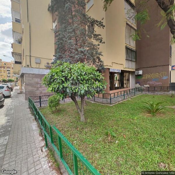 Foto 526f9b80-3e0e-4608-a07a-386f800bbd57. Pis a Pino Montano - Consolación Sevilla