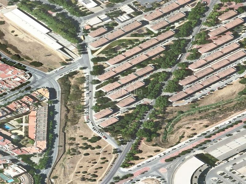 Foto 1e53f723-97ac-4512-b2ee-0f95e8528790. Pis a Pomar Badalona