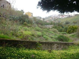 Finca rústica  Olivos (a los). Inmueble en santa brígida