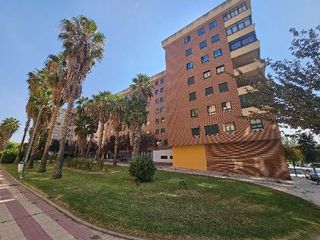 Pis a Doñana