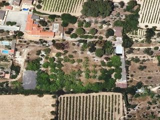 Nau industrial  Vivienda en carretera sta oliva, 4, santa oliva, t. 2 inmuebles asociados al npl en santa oliva, tarragona