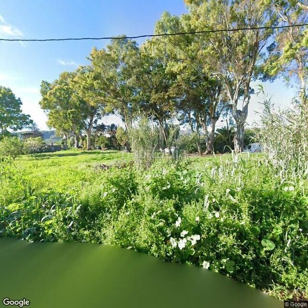 Foto f56bf30c-7986-4425-b972-d8d81bf84061. Finca rústica a Portada Verde - Lomo Espino - Guanche Santa Brígida