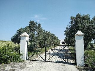 Rural plot  Ds pago los tercio. Terreno en puerto de santa maría el cádiz