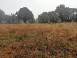 Fondo rustico  Barrio - felmil. Vivienda en begonte lugo