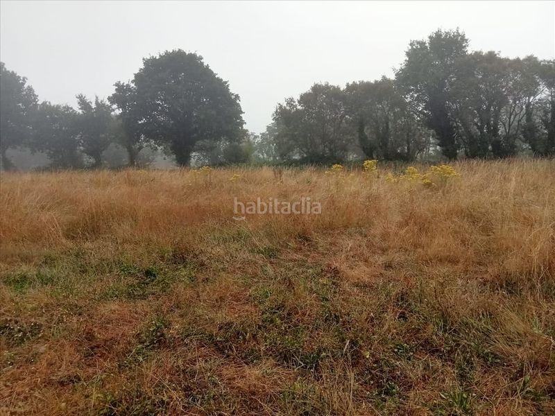 Foto f2e20abb-1550-497f-81a6-8446b9f5f6ff. Finca rústica a Begonte