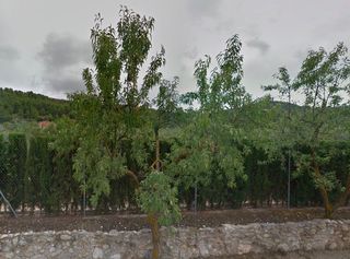 Chalet  Figueral, del. Inmueble en biar