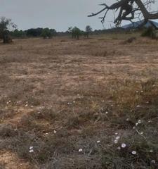 Rural plot in Cala Vedella-Cala Tarida