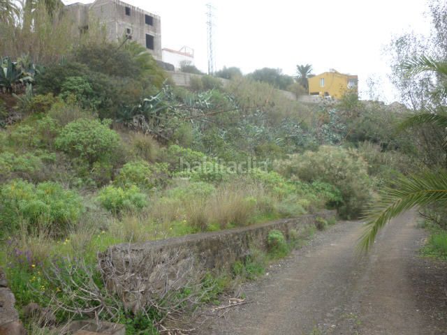 Foto cd999c60-8001-40c3-ae8f-0bbf2000cc6e. Finca rústica a Casco Urbano Santa Brígida