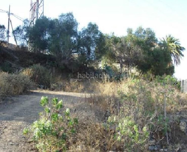 Foto dd283fa2-a361-42d0-88d3-9f2726a514db. Finca rústica a Casco Urbano Santa Brígida